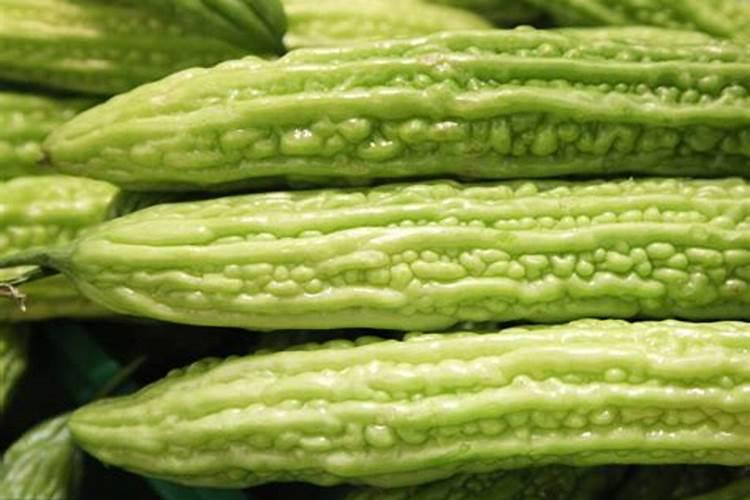 苦瓜施肥过多会怎样 苦瓜养殖方法总结