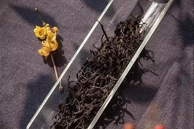 茶树如何施肥:
