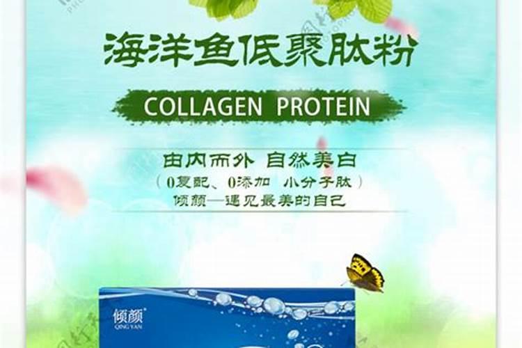 海洋鱼蛋白肽的功效是什么？