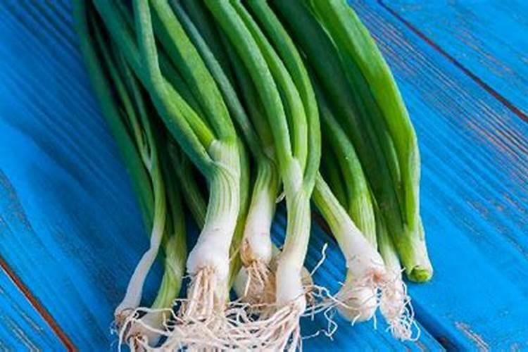 大葱用什么肥料长得快