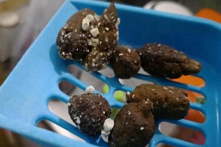 为什么要用粪便去给蔬菜施肥