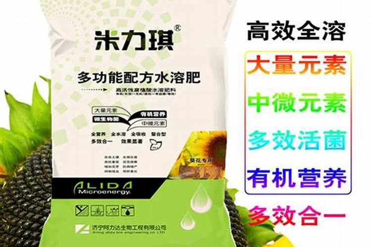 大棚花菜什么时候种植？