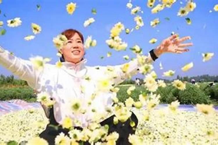 葡萄树施什么肥好？葡萄上主要使用哪些肥料？