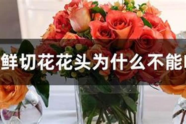 请教为何开花的时候不能施肥