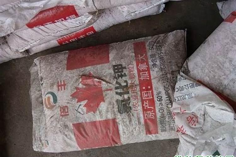 种植桃树要想高产,要着重注意管理中影响较大的哪“5怕”？