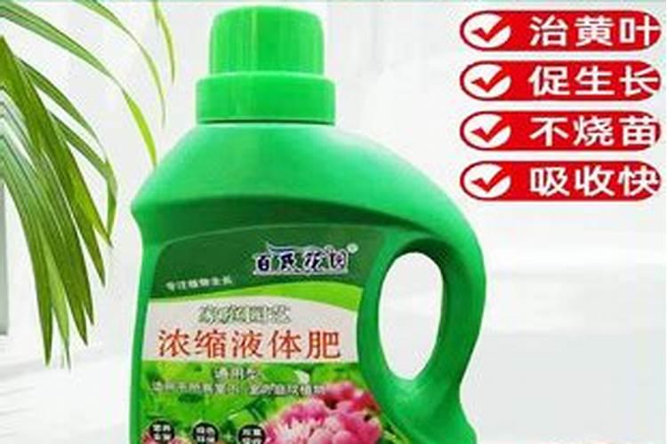 西红柿喷什么叶面肥最好