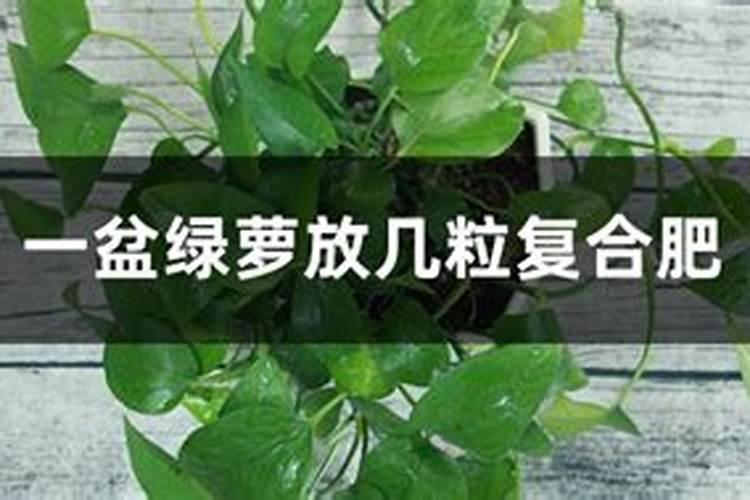 贵州华夏龙皓农业投资有限公司怎么样？