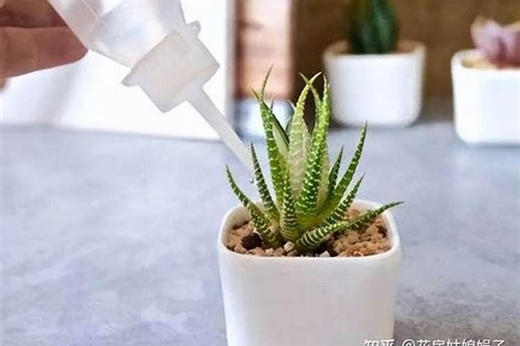 蔬菜缺钙怎么办 蔬菜怎么施肥