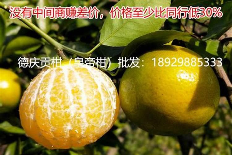 贡柑种植前如何施底肥