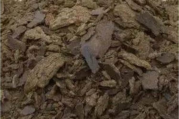 草莓碧护使用方法