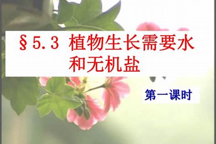 只开花不结果缺什么肥料