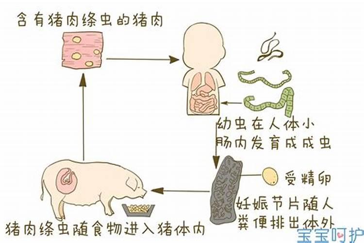 发酵鱼蛋白为什么发臭了