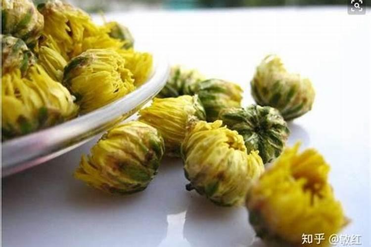 关于菊花的问题~
