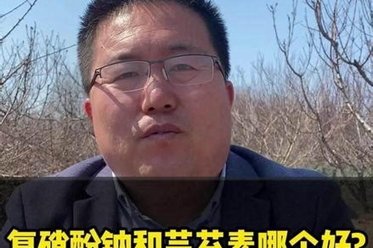 芸苔素内酯和复硝酚钠哪个好(两者有什么区别)