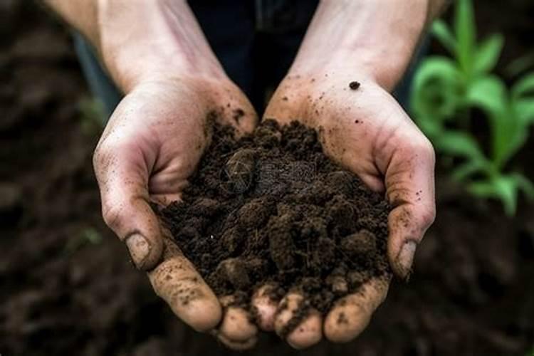 哈萨克斯坦化肥厂有哪些