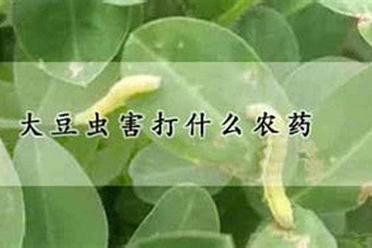 黄豆叶面肥怎么使用？知道的请回答