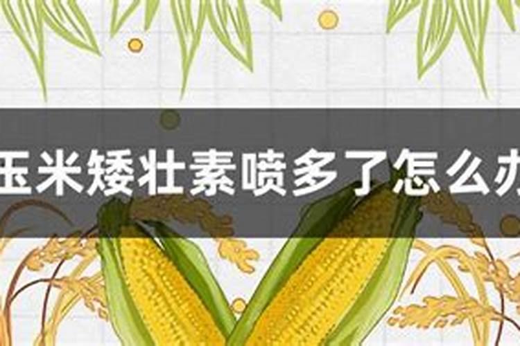 玉米生长慢打什么叶面肥好