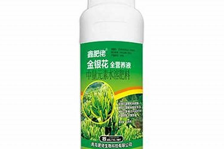 水培植物营养液的正确使用方法