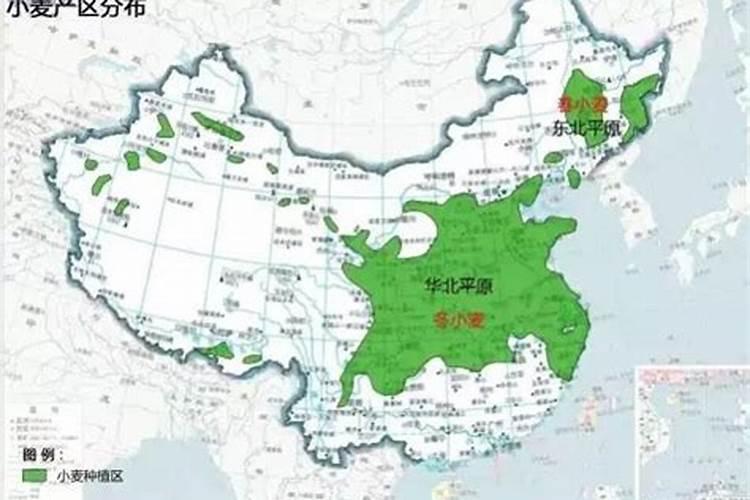 瓜蒌每个节段用肥注意事项,重茬地块应该注意什么？