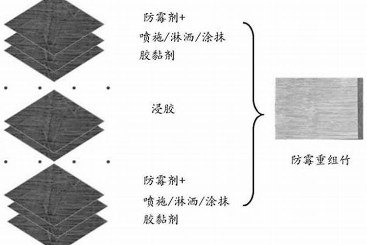为什么竹子用盐水煮