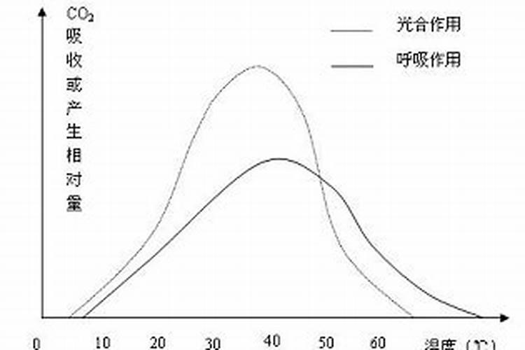 桃树虽是“铁杆庄稼”,管理不好照样衰老,怎样样才可以延长盛果期？