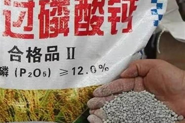 番茄果实膨大应该下什么肥料