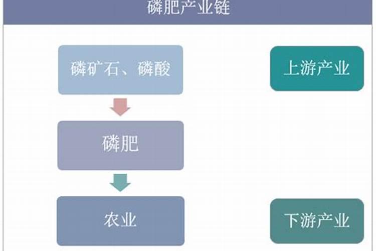 杜鹃花换盆后养护要点