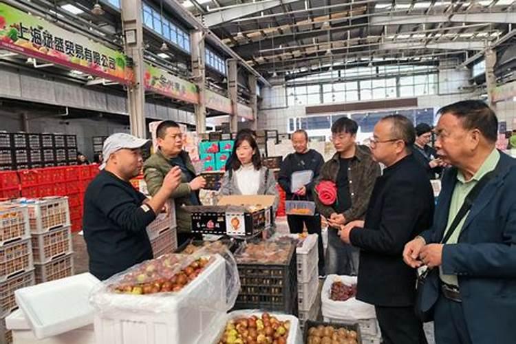 金果蓝种植技术成本利润多少钱