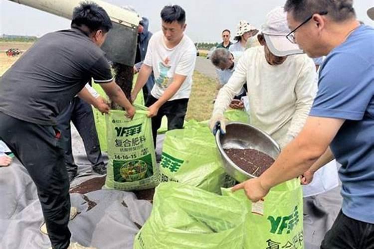 磷肥对植物的作用