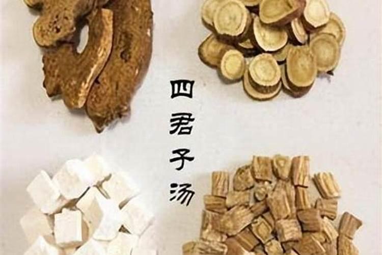 君子怎么养才长得好 君子兰如何养才长得好
