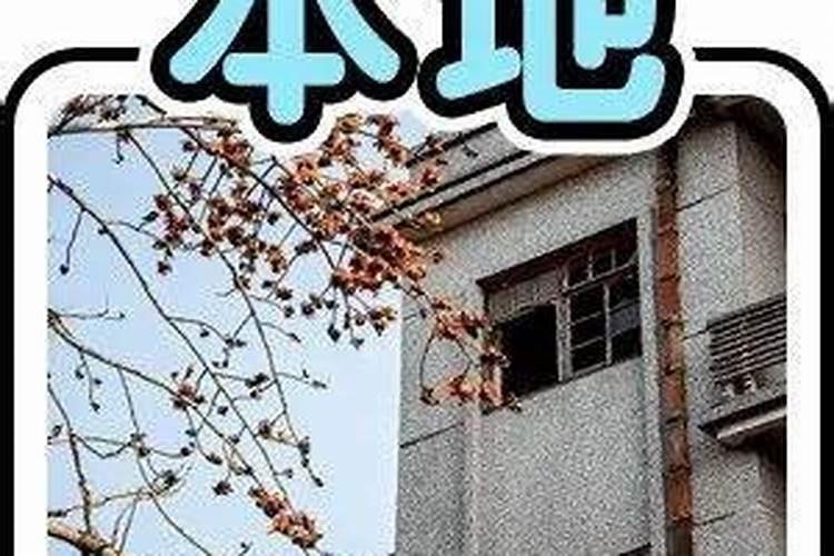 北海南珠汽车站的乘车路线