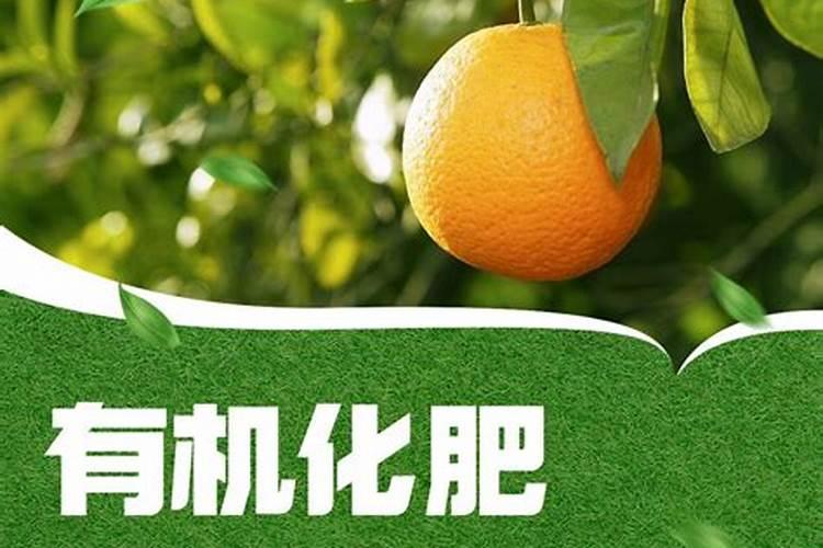小麦返青能用水溶肥吗,水溶肥施用技巧