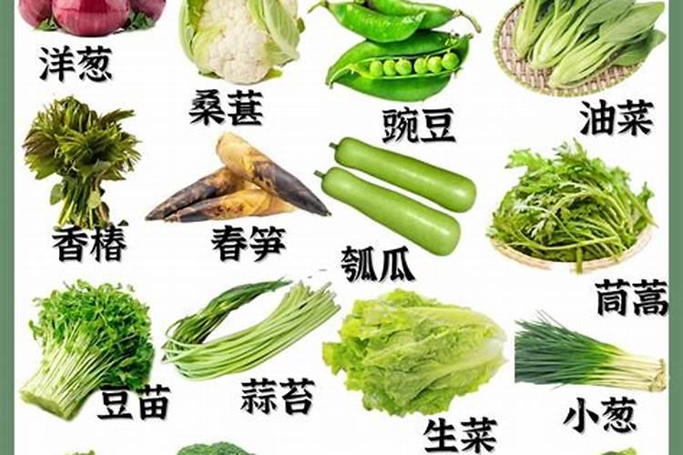 桂花应该怎么种植啊？