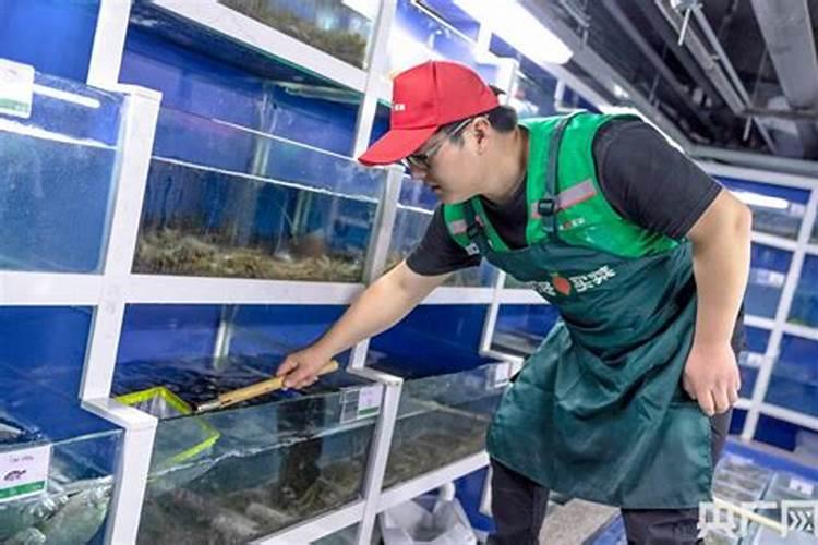 有机水溶肥 冲施肥 根生果旺的优势