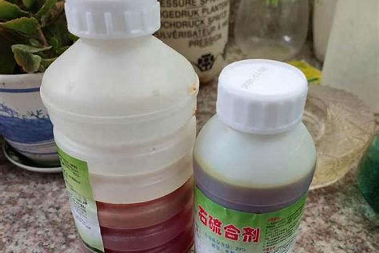果园清园是什么意思 月季清园用什么药