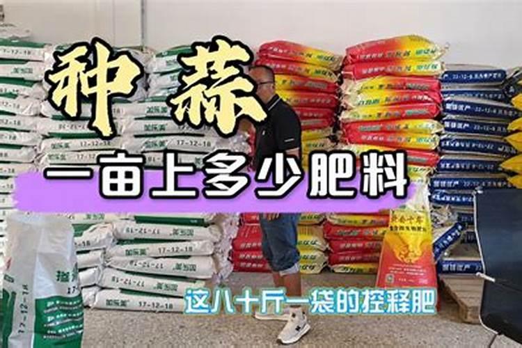 大蒜用啥肥料追肥最好