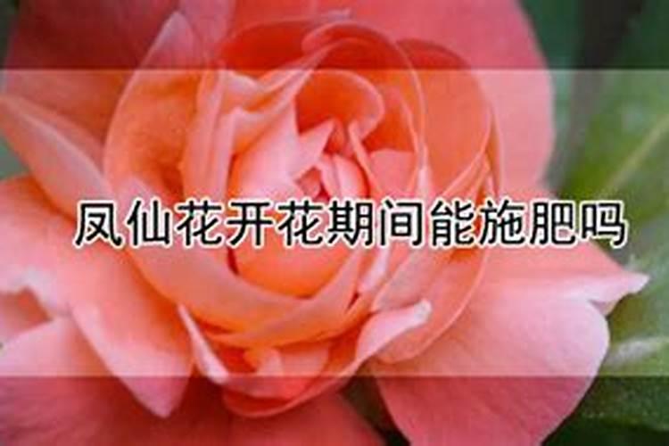 芹菜亩产量一般多少斤