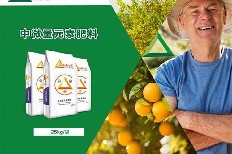 茶叶催芽剂什么时间打