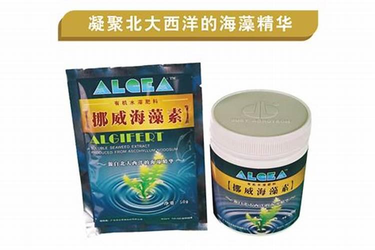 寿光指南针公司靠谱吗