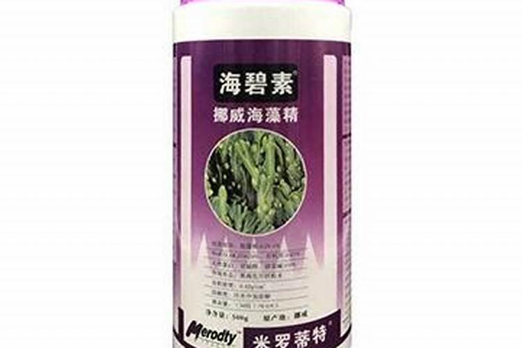DHA是鱼油好还是藻油好