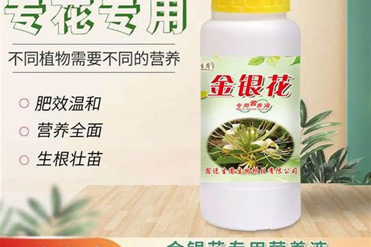 腐植酸水溶肥是什么肥料 腐植酸水溶肥料的作用有哪些