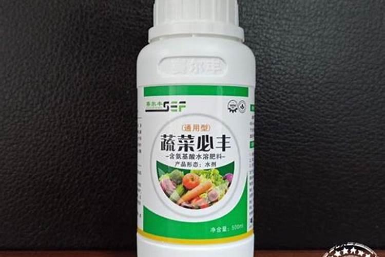 莆田适合送人的特产