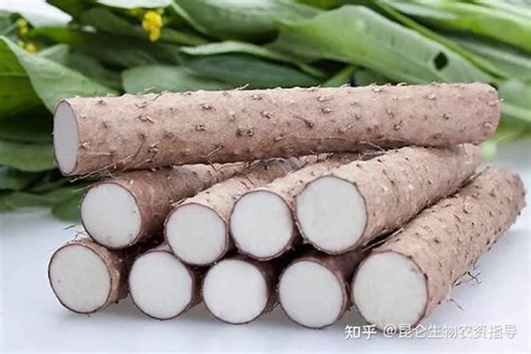 山药中后期管理技术是什么
