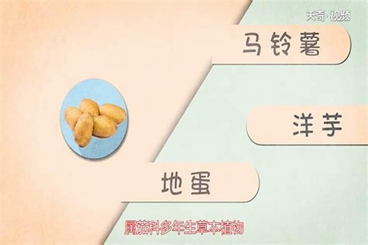 黑龙江化肥品牌有哪些