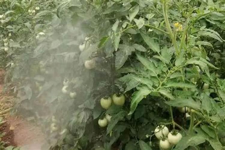 硝酸钙与亚硝酸钙有何区别,在农业使用上？