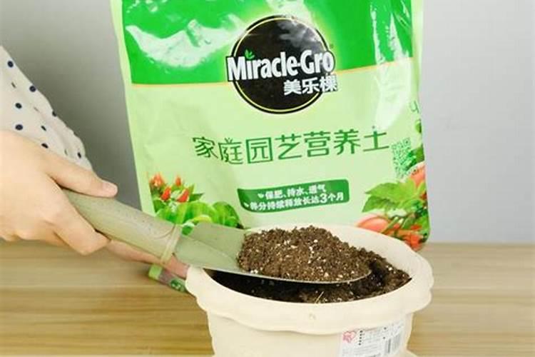 养花卉用什么肥最好,养花常用五种肥