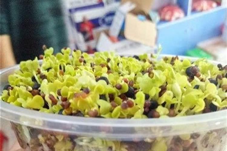 香瓜在栽培过程中,施氮肥过多会有哪些症状？