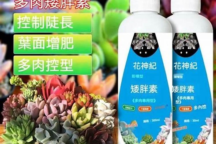 芸苔素和什么叶面肥混用在苗床上比较好？