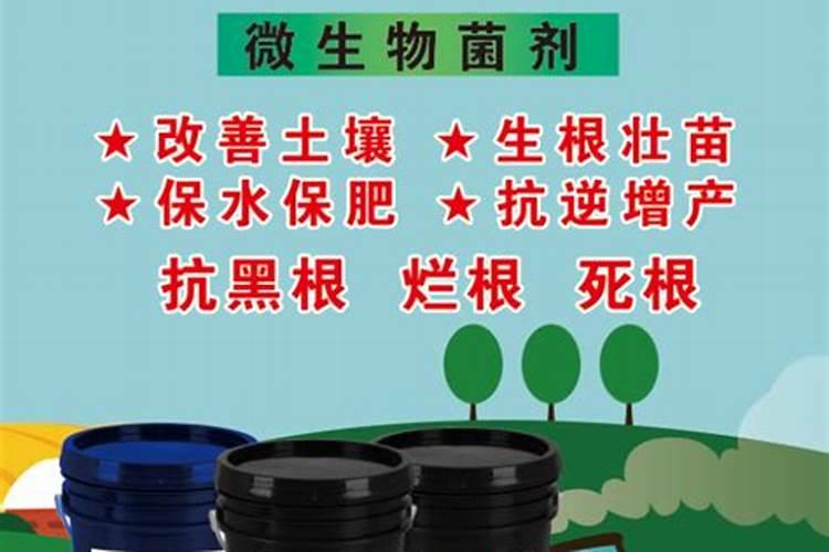 一般的蔬菜瓜果要用到什么肥料