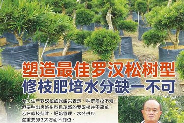 中国复合肥十大品牌